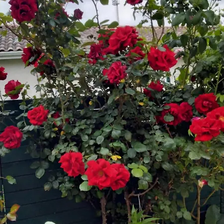 Bed & Breakfast Chez Corinne 3*