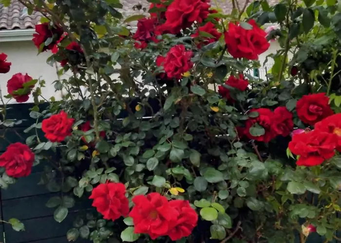 Frühstückspension Chez Corinne 3*